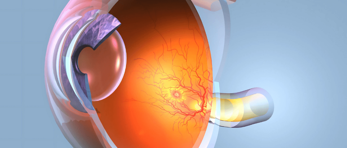 Know what is Retina & the 7 common problems-min